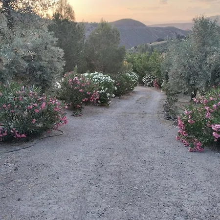 Cortijo Loma Del Estanque Chalet Monachil